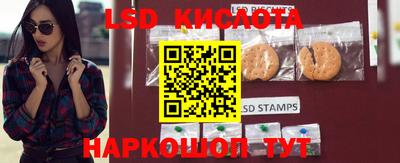 прущий лед Новозыбков