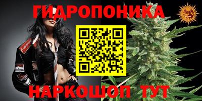 прущий лед Новозыбков