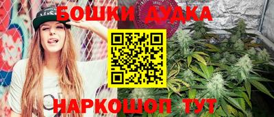 прущий лед Новозыбков